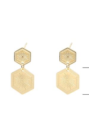 Earrings Shine On Plata Acero inoxidable h5 Imagen3